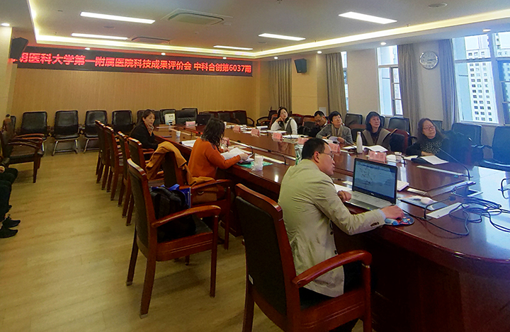 傣药雅盼抑制肾间质纤维化分子机制及临床应用 anli.jpg